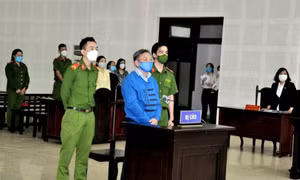 Giám đốc doanh nghiệp cưỡng đoạt tài sản bị tuyên phạt 12 năm tù
