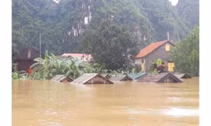 Chủ động ứng phó với gió mạnh trên biển và mưa lớn diện rộng