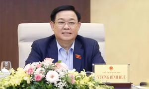 Chấp thuận cho Đoàn ĐBQH Thành phố Hồ Chí Minh họp trực tuyến do có người nhiễm COVID-19