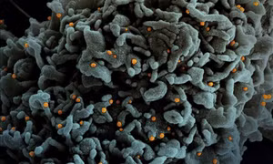 Đánh giá hiệu quả của các vaccine phòng COVID-19 hiện có đối với biến thể Omicron
