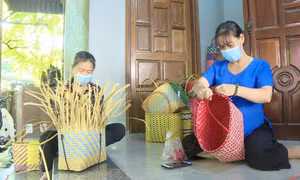 Trợ lực cho phụ nữ phát triển kinh tế