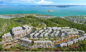 Ngôi sao mới của Hạ Long