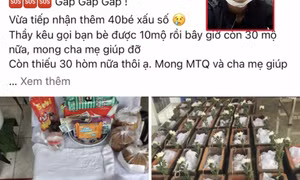 Lập hàng loạt Facebook ảo kêu gọi từ thiện, chiếm đoạt hàng tỷ đồng