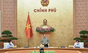 Đẩy mạnh các hoạt động phục hồi, phát triển kinh tế-xã hội