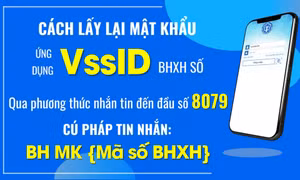 Nhắn tin lấy lại mật khẩu app VssID có bị mất tiền không?