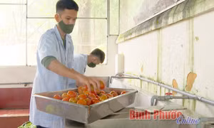 Tăng gia sản xuất, nhân lên niềm vui