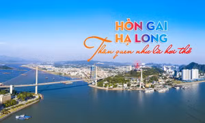 Hòn Gai - Hạ Long: Thân quen như là hơi thở