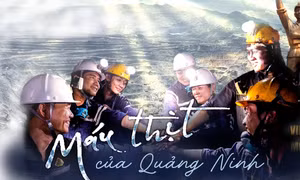 Máu thịt của Quảng Ninh