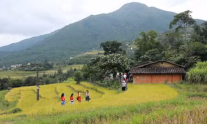 Đoàn Famtrip Hà Nội khảo sát du lịch tại Bình Liêu