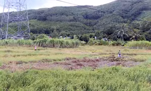 Hệ lụy từ những dự án "treo"