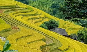 Du lịch Hà Giang hướng tới thích ứng an toàn với COVID-19
