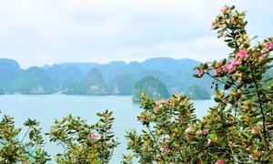 Trải nghiệm đảo Soi Sim