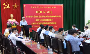 Phát huy vai trò tổ chức đảng trong doanh nghiệp ngành Than