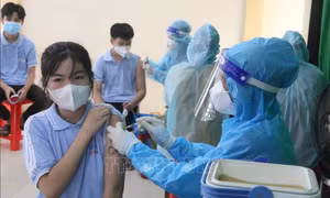 Theo dõi sức khoẻ của trẻ sau tiêm vaccine phòng COVID-19 như thế nào?