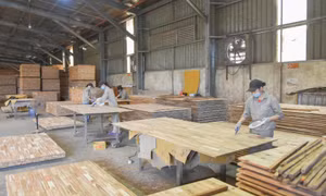 Đầm Hà: Linh hoạt thích ứng, giữ đà tăng trưởng