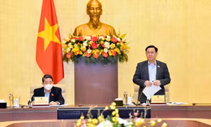Chủ tịch Quốc hội chủ trì buổi làm việc về chính sách tài chính, tiền tệ hỗ trợ phục hồi kinh tế
