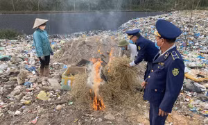 Phát hiện, tiêu hủy 1.800 con vịt giống nhập lậu 