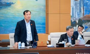 Giảm tuổi hưởng trợ cấp hưu trí xã hội xuống 75 là cần thiết