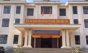 Chánh án bị kiểm điểm, rút kinh nghiệm vì hồ sơ án lưu 13 tài liệu để trống
