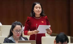 Đại biểu Quốc hội đề nghị giảm tuổi nghỉ hưu cho giáo viên mầm non