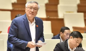 Áp dụng trí tuệ nhân tạo trong chuyển đổi số để nâng cao chất lượng xét xử của tòa án