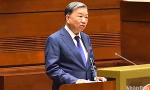 Không phải mang theo giấy đăng ký xe, giấy phép lái xe nếu đã được tích hợp vào thẻ căn cước