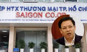 TP.HCM: Truy tố nguyên Chủ tịch Saigon Co.op Diệp Dũng và 8 đồng phạm