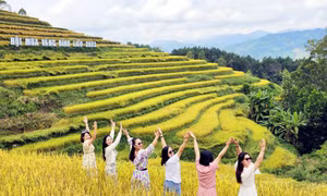 Hấp dẫn du lịch Bình Liêu mùa thu đông