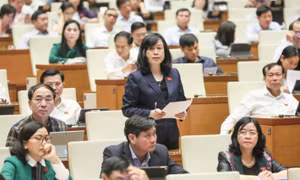 Bộ trưởng Y tế giải trình vấn đề thiếu thuốc, vật tư y tế