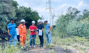 Khắc phục tình trạng lưới điện quá tải trên địa bàn TP Hạ Long