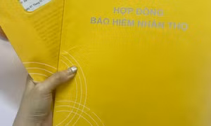 Cấm ngân hàng bán bảo hiểm liên kết đầu tư kèm khoản vay