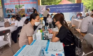 6 thủ tục hành chính về cấp giấy phép lao động cho người nước ngoài