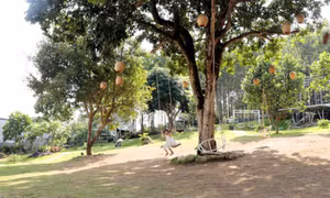 Xu hướng lựa chọn thú vị 