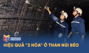 Hiệu quả "3 hóa" ở Than Núi Béo