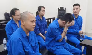 Thuê ô tô rồi chiếm đoạt, nhiều bị cáo lĩnh án nặng
