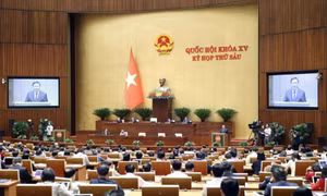 Tuần làm việc thứ 4, Kỳ họp thứ 6: Tập trung cho công tác lập pháp và giám sát