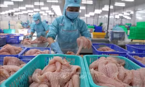 Khơi thông nguồn vốn tín dụng để hỗ trợ doanh nghiệp tận dụng hiệu quả FTA