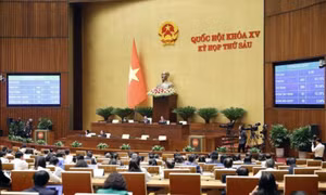Quốc hội thông qua Luật Lực lượng tham gia bảo vệ an ninh, trật tự ở cơ sở