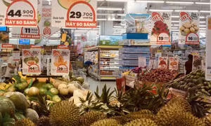 CPI tháng 11 tăng 3,46% do giá gạo và một số dịch vụ thiết yếu đi lên
