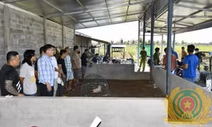 Bắt quả tang 21 đối tượng đá gà ăn tiền, thu giữ hơn 330 triệu đồng