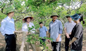 "Nước rút" hoàn thành chủ đề công tác năm 