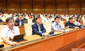 Tuần làm việc cuối cùng của Kỳ họp thứ 6: Quốc hội biểu quyết thông qua 5 dự án luật