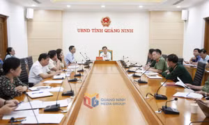 Tập trung chuẩn bị các nội dung hội nghị xúc tiến đầu tư Quảng Ninh – Nhật Bản 2023