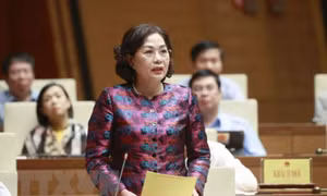 Đại biểu Quốc hội thảo luận về gỡ vướng mắc tín dụng ở các địa phương