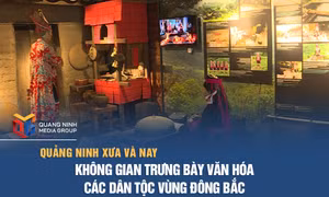 Không gian trưng bày văn hóa các dân tộc vùng Đông Bắc