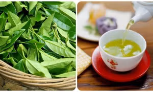 Những người không nên uống chè xanh