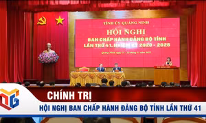 Hội nghị Ban Chấp hành Đảng bộ tỉnh lần thứ 41