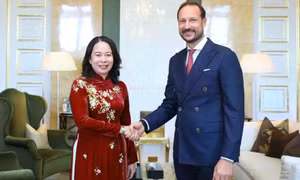 Phó Chủ tịch nước Võ Thị Ánh Xuân hội kiến các lãnh đạo Na Uy