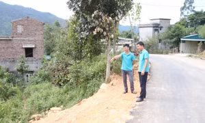 MTTQ huyện Bình Liêu: Tăng cường công tác giám sát, phản biện xã hội