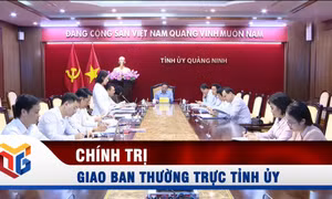 Giao ban Thường trực Tỉnh ủy